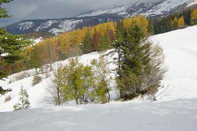 environnement du gîte