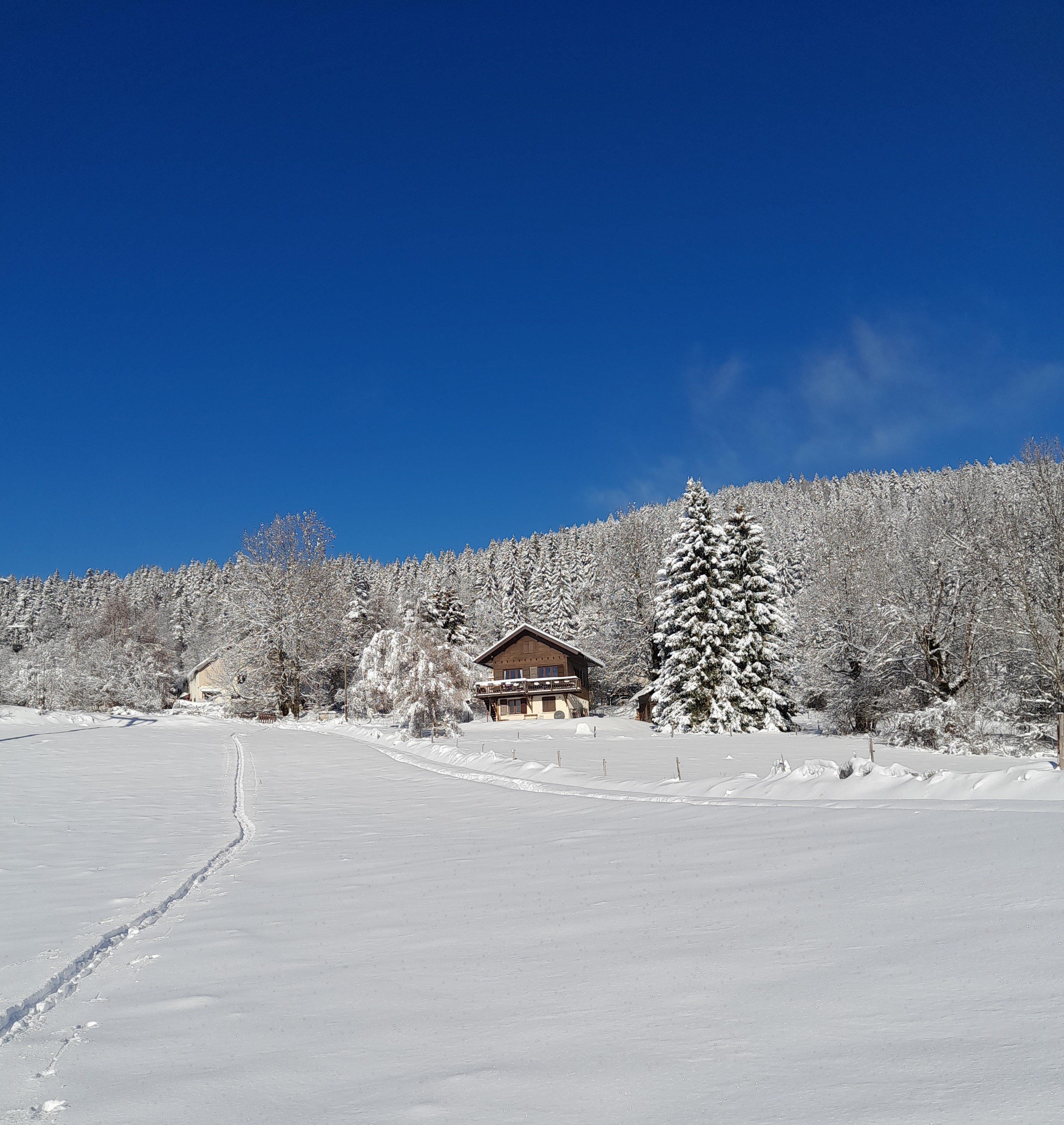 vue depuis les pistes de ski de fond