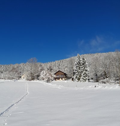 vue depuis les pistes de ski de fond