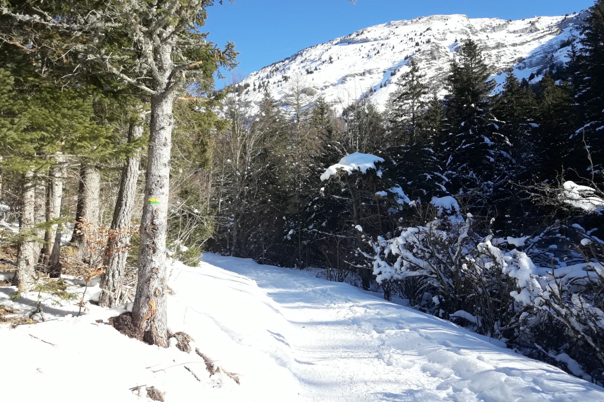 studio pleine nature location 4 personnes dans station de ski à
