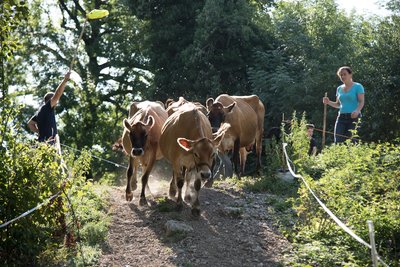 Ferme de Bartabelle