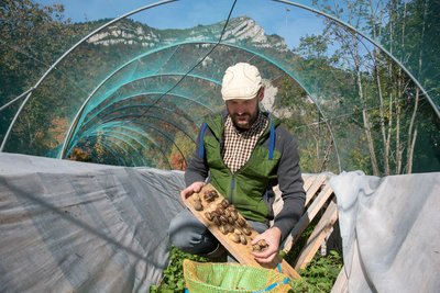 La forêt des possibles