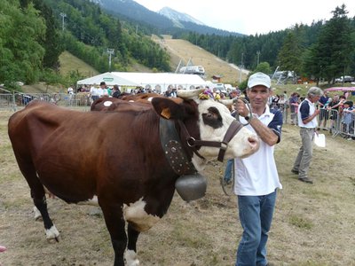 Vache