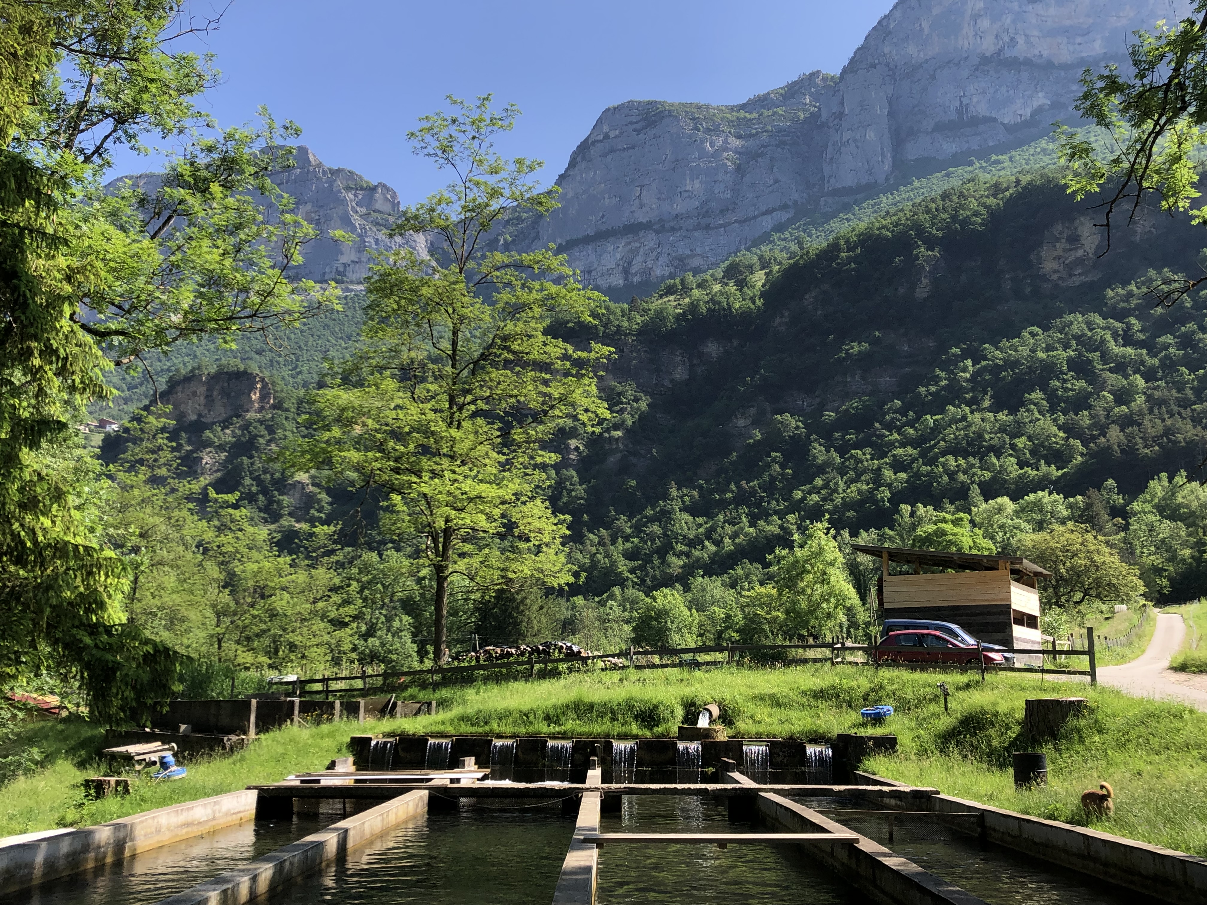 Les Truites de la Vernaison