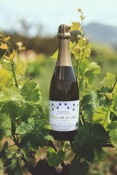 Domaine les Genêts - Clairette de Die Tradition