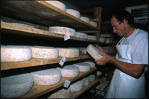 La fabrication du Bleu Vercors Sassenage (AOP)