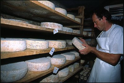 La fabrication du Bleu Vercors Sassenage (AOP)