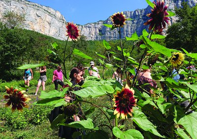 Les Aromatiques de Choranche, Visites pédagogiques Adultes
