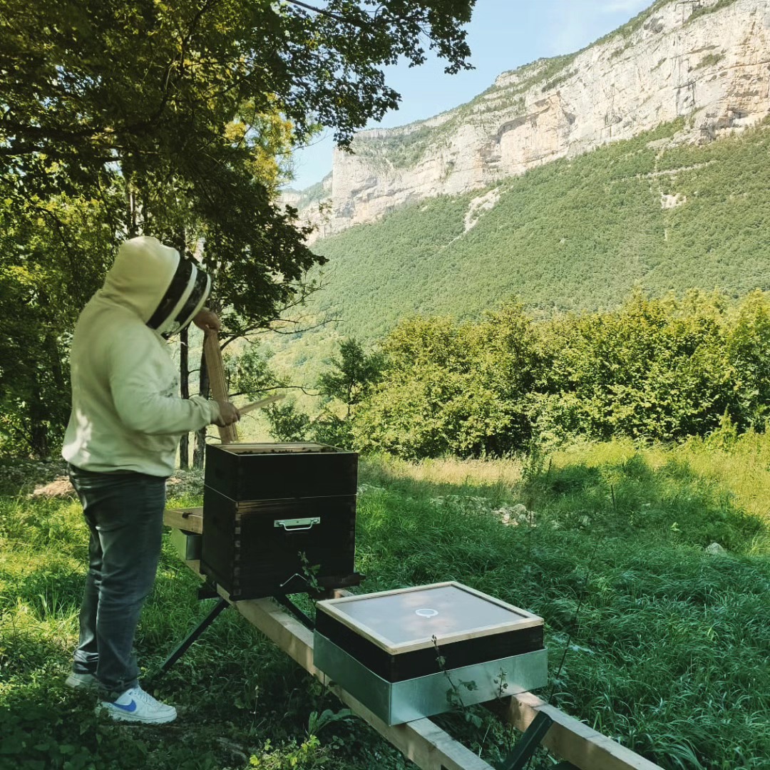 L'Abeille de François à Rencurel dans le Vercors