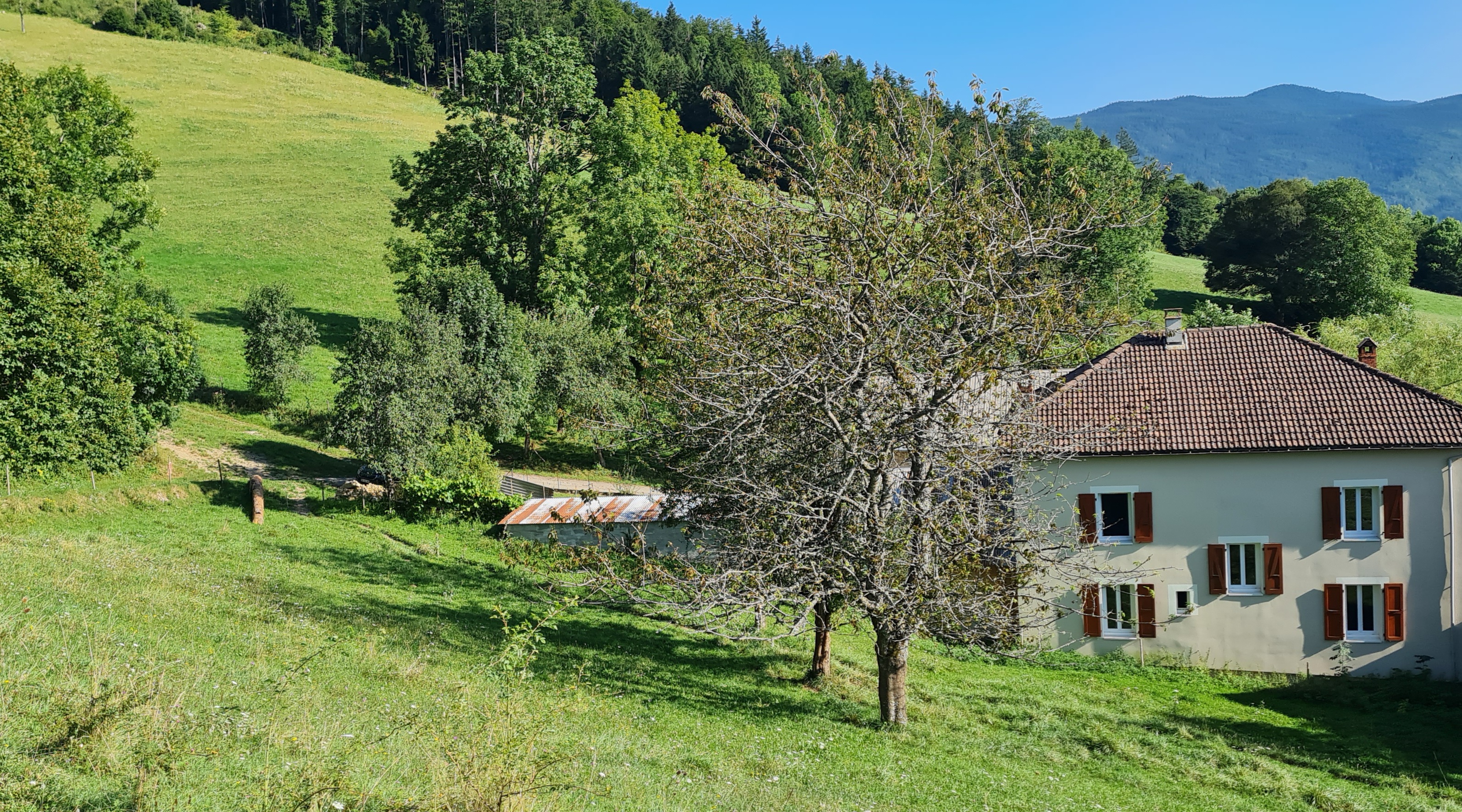 Vue du gîte de la Berthuinière entourée de prés