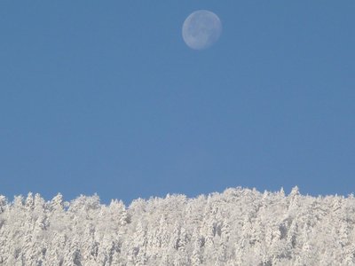 Des jours comme ça!