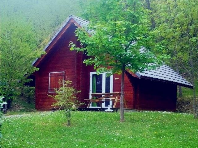 La Combe d'Oyans_Gentiane