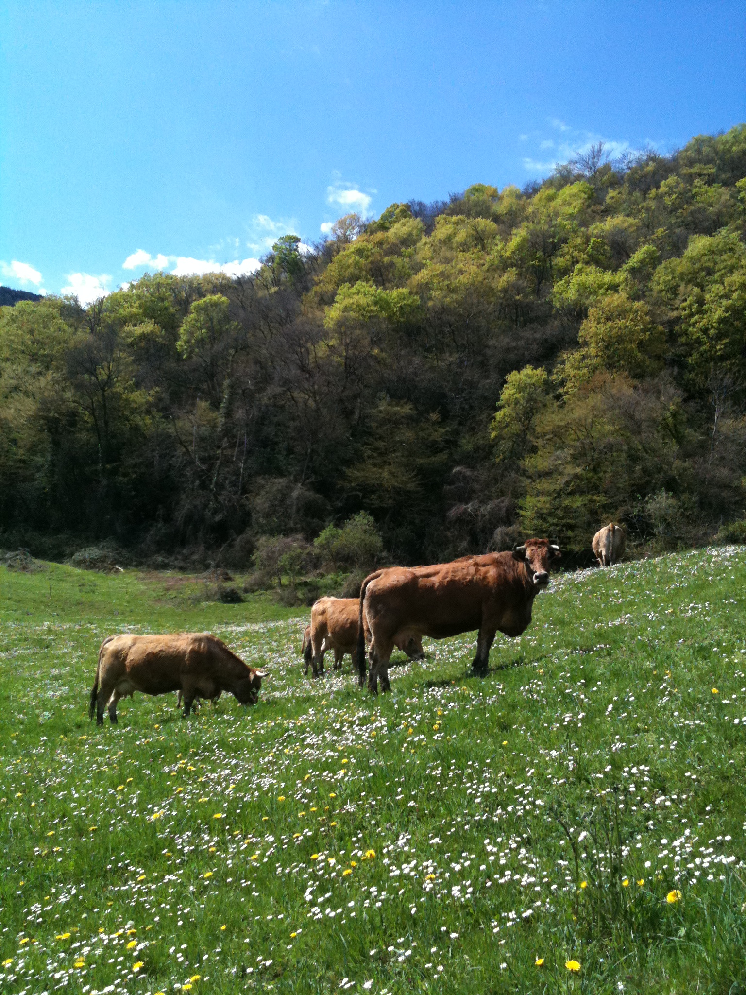 La Ferme