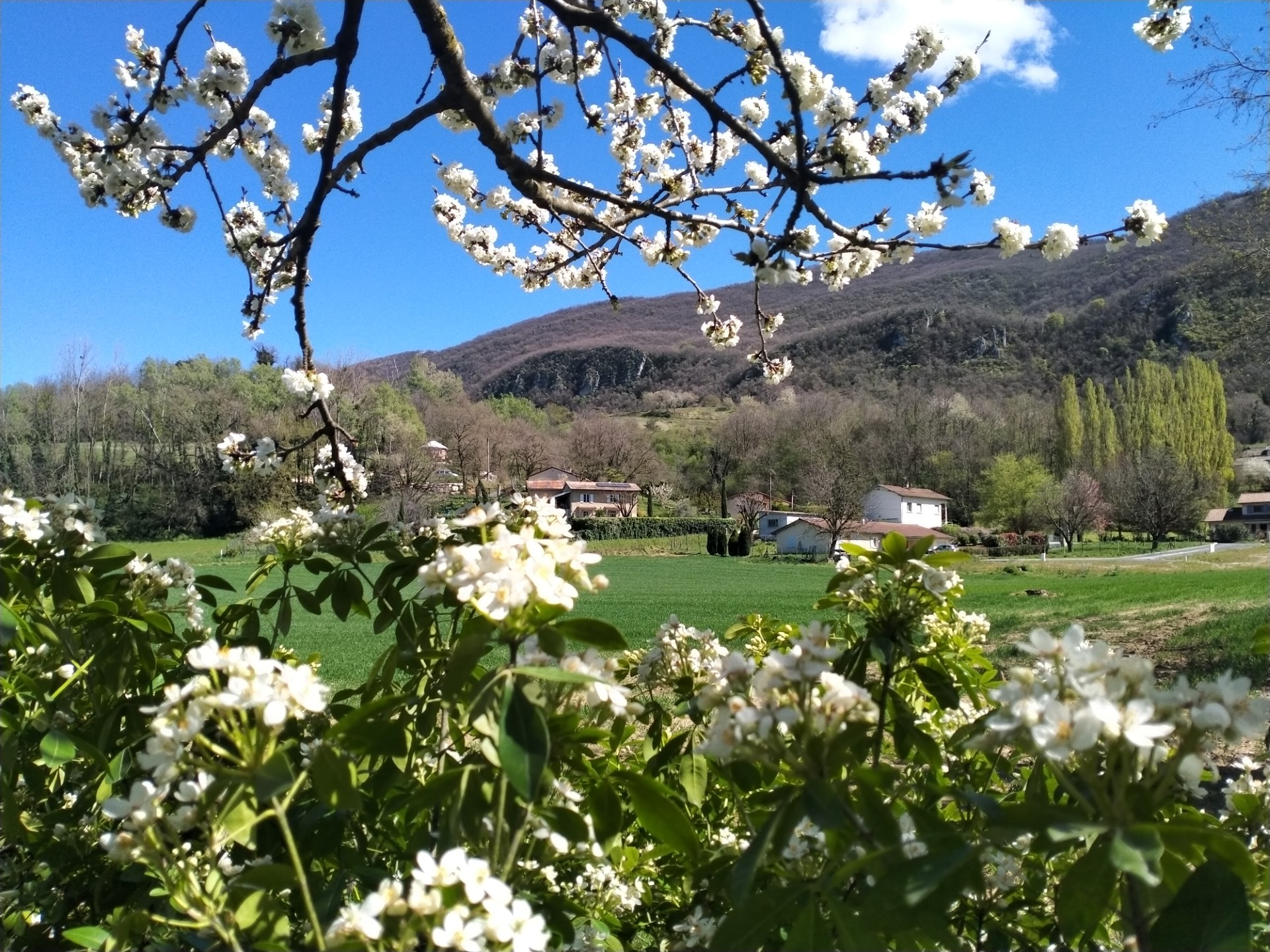 Extérieur de la maison