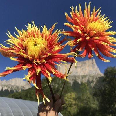 Les Jardins de Traverses_Chichilianne