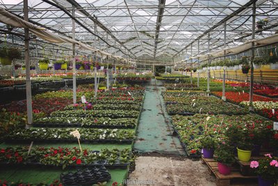 Les Jardins de Malissolles