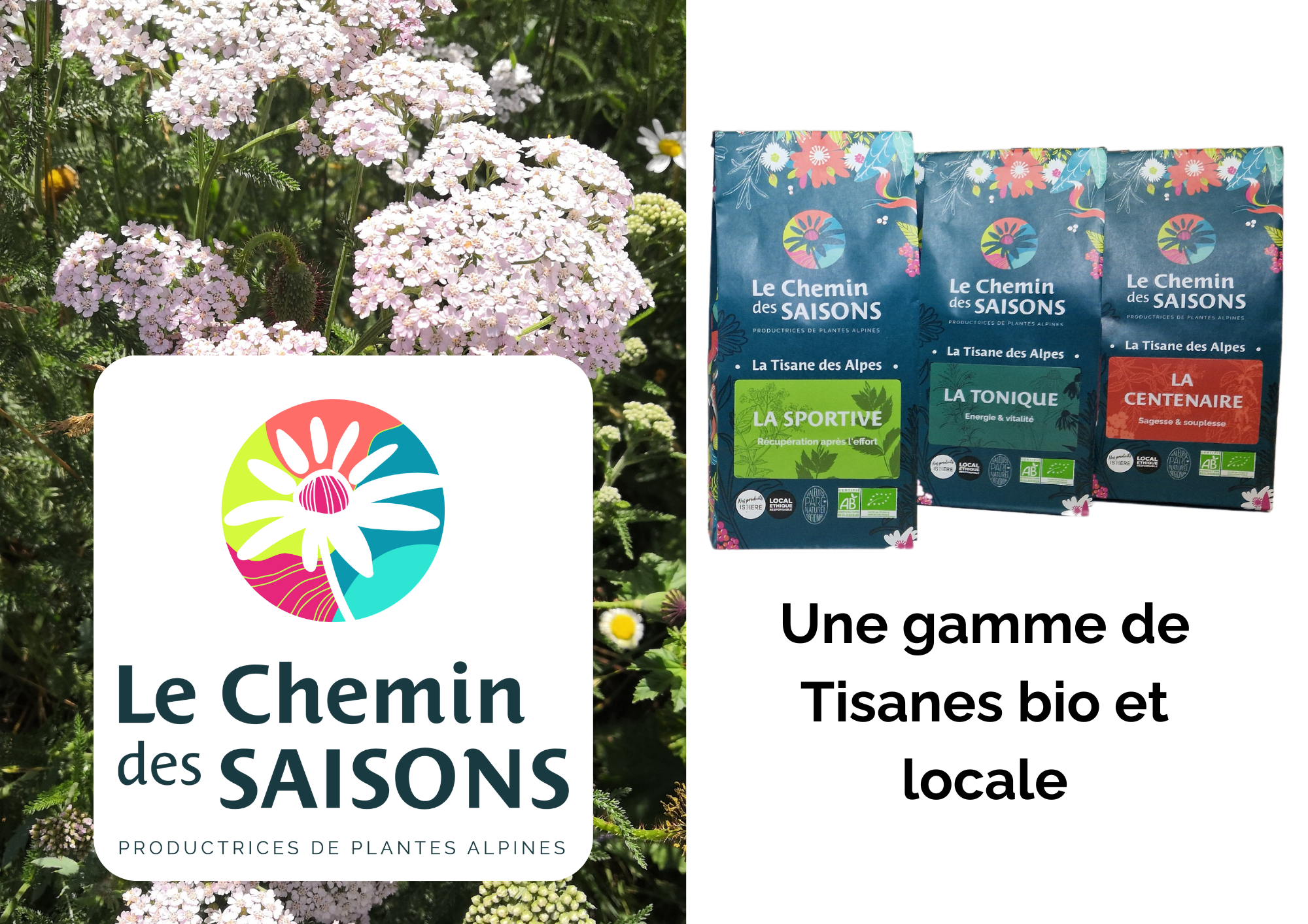 Notre gamme de Tisanes Locales et bio