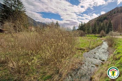 Environnement autour du gîte