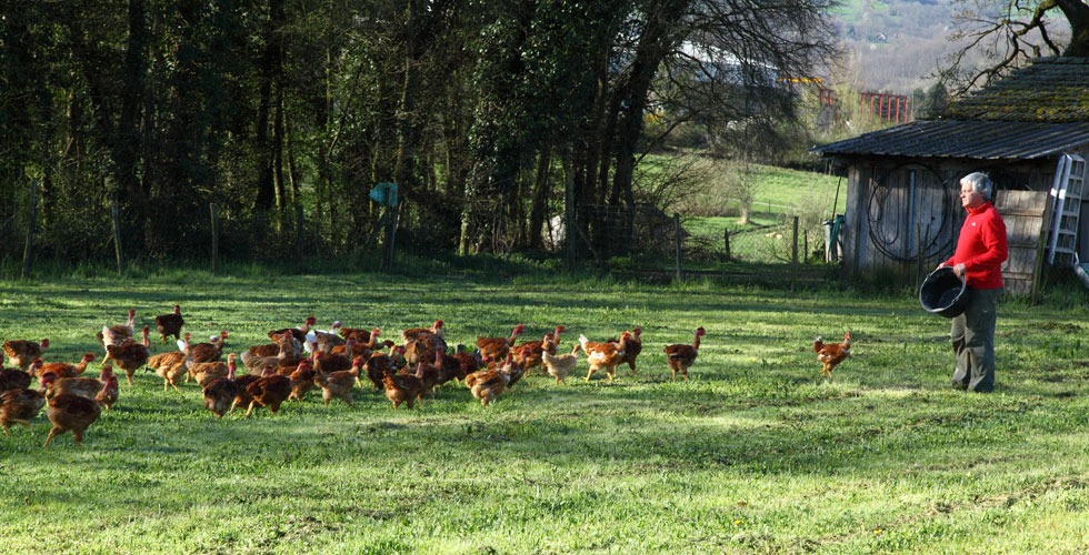 La Ferme de Valensole_Saint-Just-de-Claix