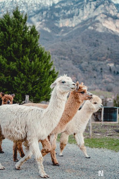La Ferme de So_Saint-Paul-de-Varces