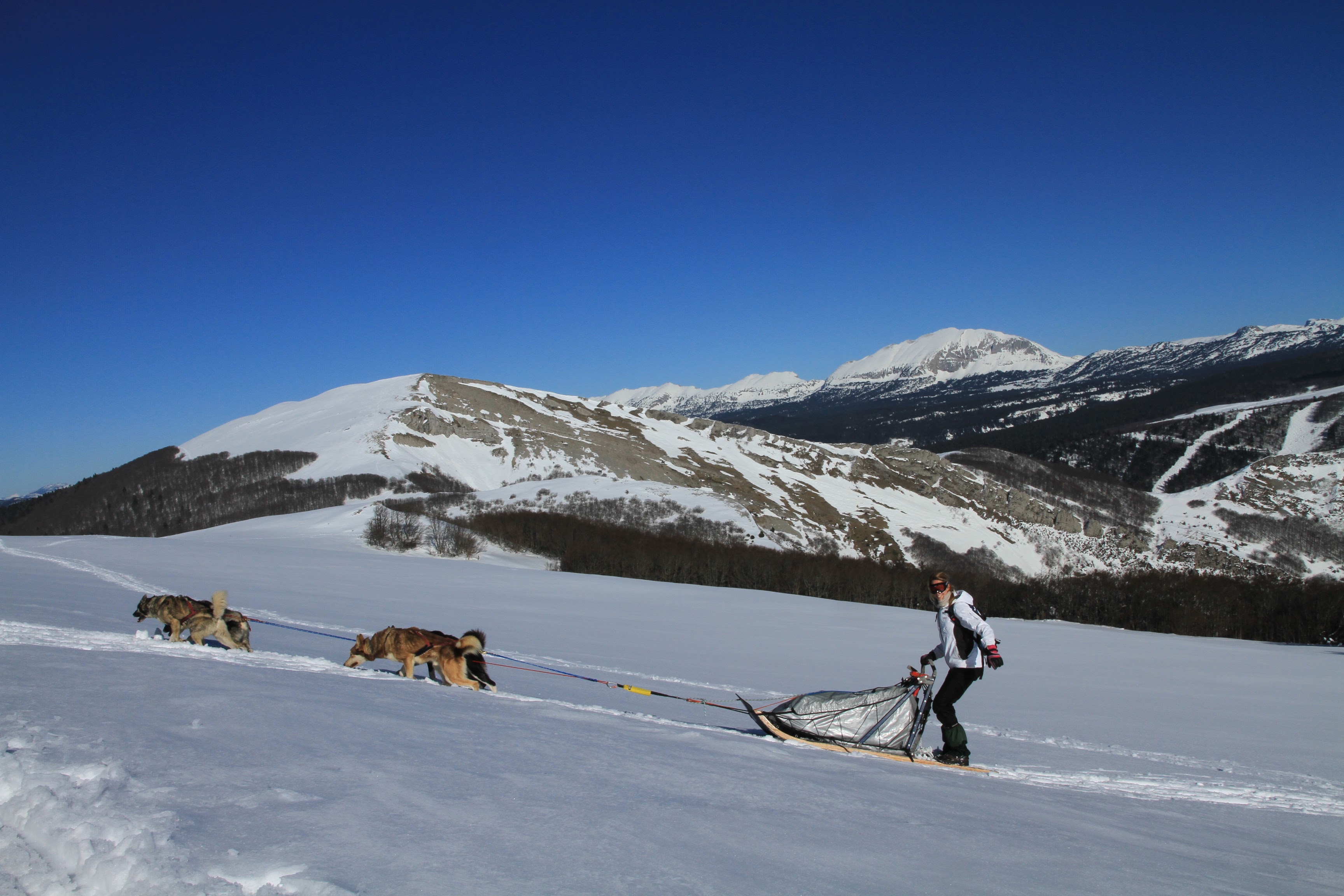 Traineau hiver avec la Maison de l'aventure