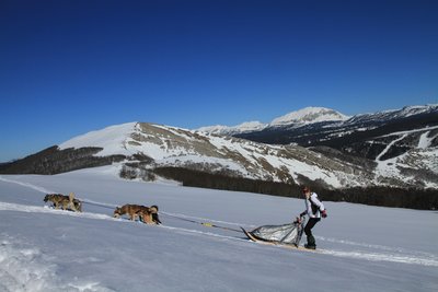 Traineau hiver avec la Maison de l'aventure