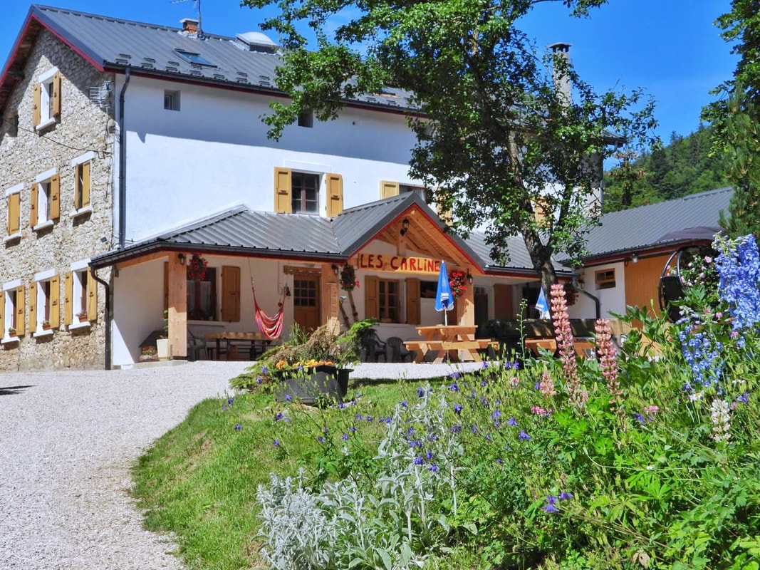 Vue du Gîte les Carlines entouré de forêt