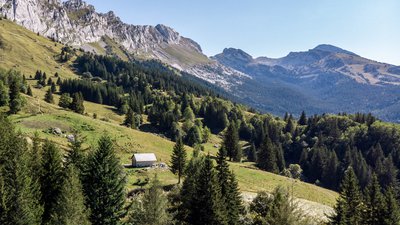 Cabane de Roybon