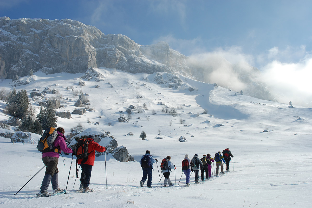 Raquettes en Vercors