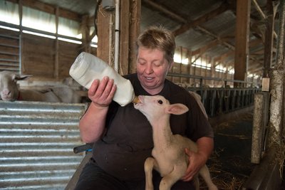 La ferme des petits bergers