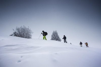 Randonneurs en raquette sur le Vercors