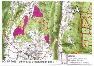 Zone de coupe forestière