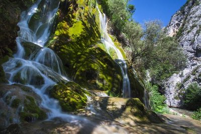 Cascade verte