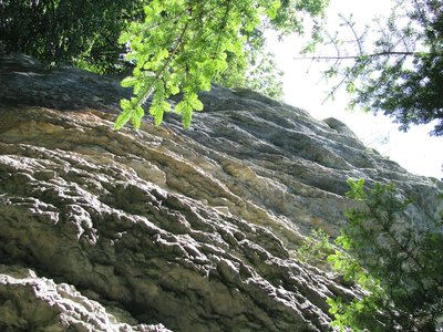 Les voies d'escalade de l'Échaillon