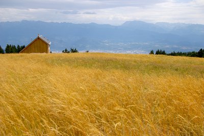 La cabane du berger sur l'alpage du Sornin