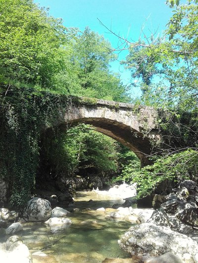 Le pont des Chartreux et le Cholet