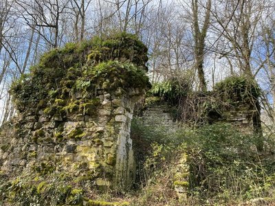 Restes de murs visibles à l'emplacement du château