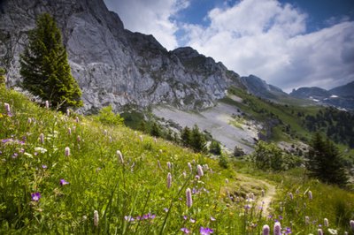 A la descente du Col vert