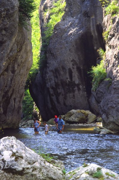 La Vernaison dans les gorges des Grands Goulets