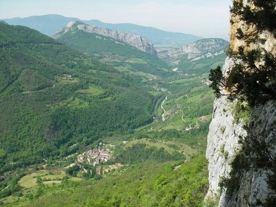 Photo aérienne de la forêt des Coulmes