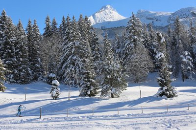 La Grande Moucherolle depuis la zone nordique de Corrençon