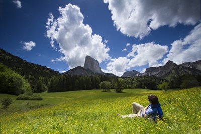 Le Mont Aiguille