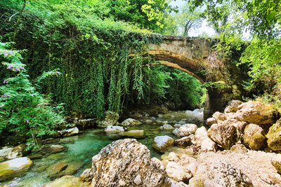 Pont des Chartreux