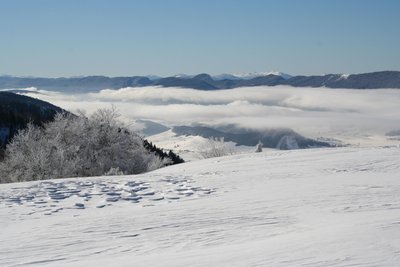 Plateau de la Molière