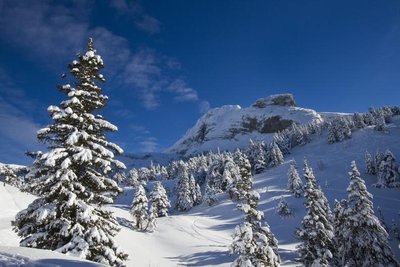 Au pied de la Grande Moucherolle