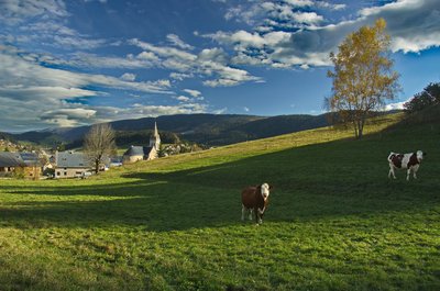 Paysage de Méaudre