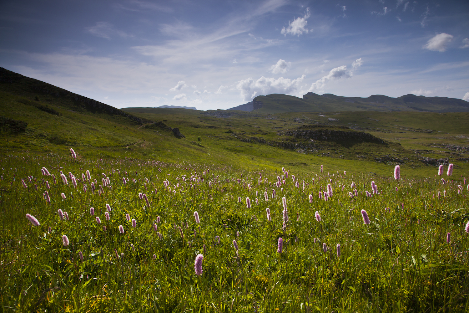 Le plateau d'Ambel