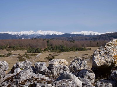 Plateau de Vassieux