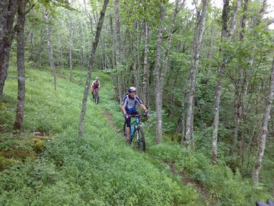 Sur l'itinéraire...en plein coeur de la forêt des Coulmes