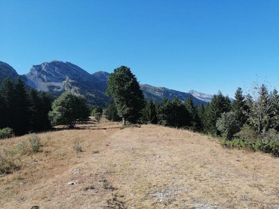 Vue sur les arêtes du Gerbier